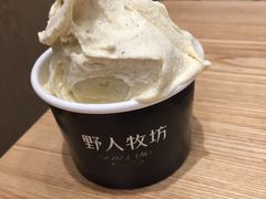 -野人先生现做冰淇淋(北京环宇荟店)