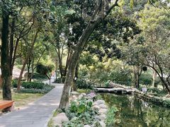 -成都市活水公园