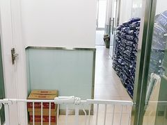 -宠福鑫康馨动物医院·骨科·眼科