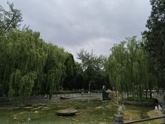 -保定市动物园