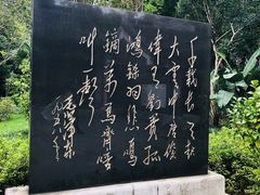 -柳侯公园