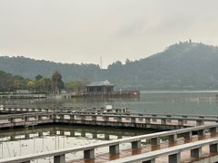 -顺峰山公园