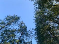 -深圳龙潭公园