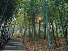 -南京金牛湖风景区