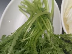 -蒙都43°9羊火锅(平庄店)