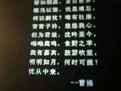 -胡桃里乐队酒馆(鎏嘉码头店)