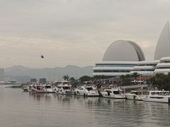 -野狸岛