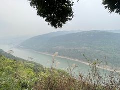 -铁山坪森林公园