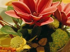 -金鼎轩(亚运村店)