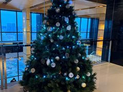 -上海龙之梦万丽酒店