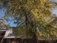 -潭柘寺景区