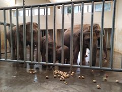 -石家庄市动物园