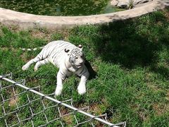 -石家庄市动物园