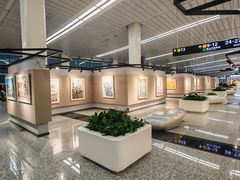 -石家庄正定国际机场-T2航站楼