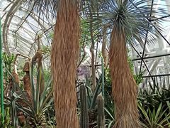 -北京植物园-展览温室