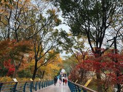 -上海吴淞炮台湾国家湿地公园