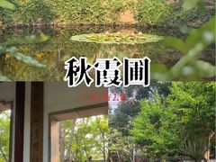 -秋霞圃