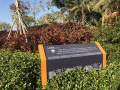 -宝安西湾红树林湿地公园