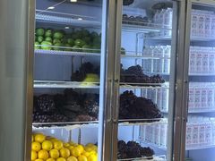 -雾与山茶(大禹城店)