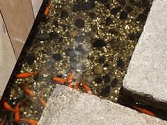 -邈墨茶馆(凤起路店)