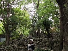 -绮园景区