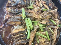 老板恋上鱼-老板恋上鱼(恒隆广场店)