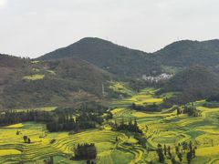 -牛街螺丝田