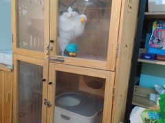 -派多格宠物·购宠(靛厂路店)