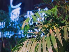 -巴厘龙虾·榜首油焖大虾(洞庭·艺术洋房店)