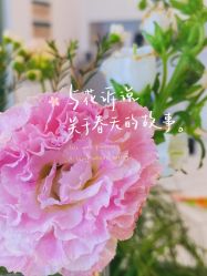 -亦美瑜伽·普拉提