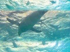 -珠海长隆海洋王国