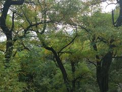 -阳台山自然风景区