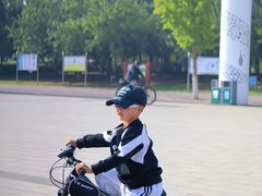 -丁香湖公园