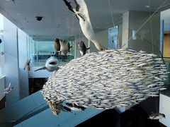 -墨尔本博物馆(Melbourne Museum)