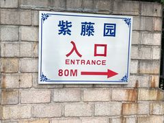 -嘉定紫藤园