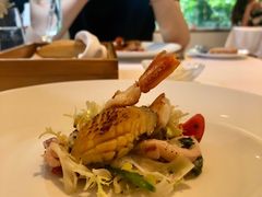 -蝶舍·MAISON PAPILLON