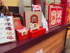 -line friends(明洞旗舰店)