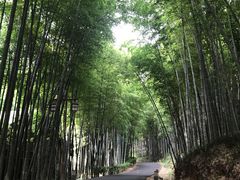 -苏州环秀晓筑养生度假村
