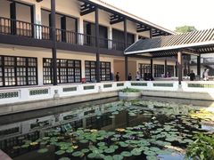 -长洲岛