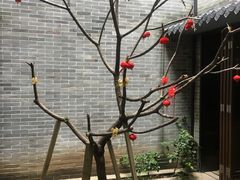 -归觅·西关小姐人文艺术馆(荔枝湾店)