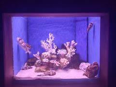 -多彩贵州城极地海洋世界