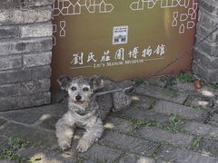 -安仁古镇