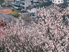 -台州府城(江南长城)
