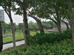 -映月湖公园