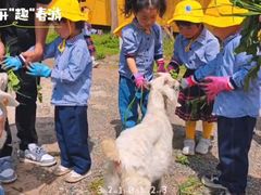 -前小桔亲子创意农场·草莓采摘·露营烧烤