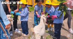 -前小桔亲子创意农场·草莓采摘·露营烧烤