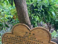 -呀路古热带植物园