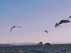 -呈贡滇池生态湿地公园