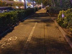 -桃子餐厅·天津菜(红星路直营店)