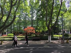 -同济大学（四平路校区）-图书馆